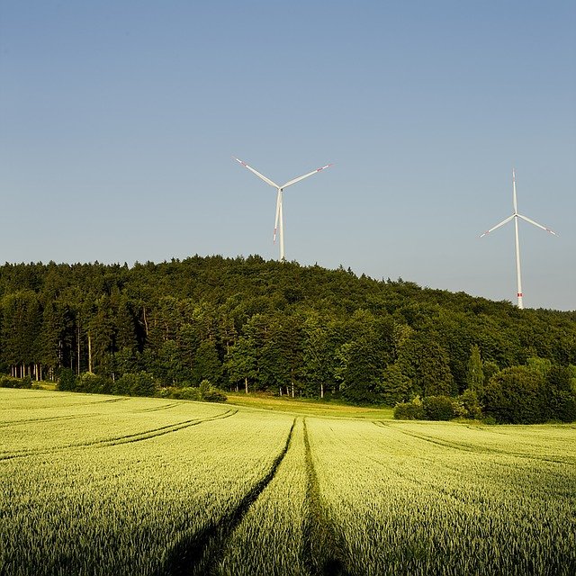 Sind Windkraftanlagen wirklich umweltfreundlich?