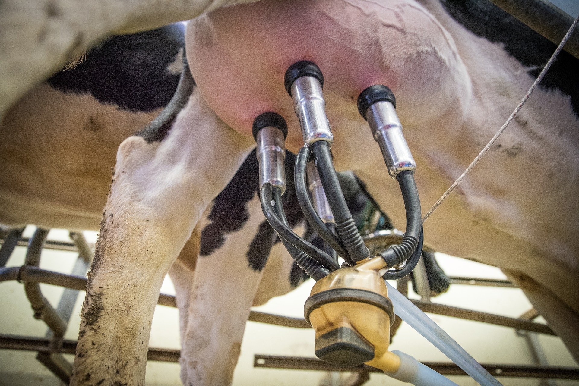 Warum ein Blackout die Landwirtschaft lahm legt