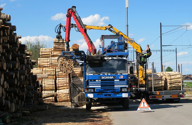 Cuxhaven baut Holzkraftwerk und verfeuert bis zu 100.000 Tonnen Holz im Jahr. Umweltverbände laufen dagegen Sturm
