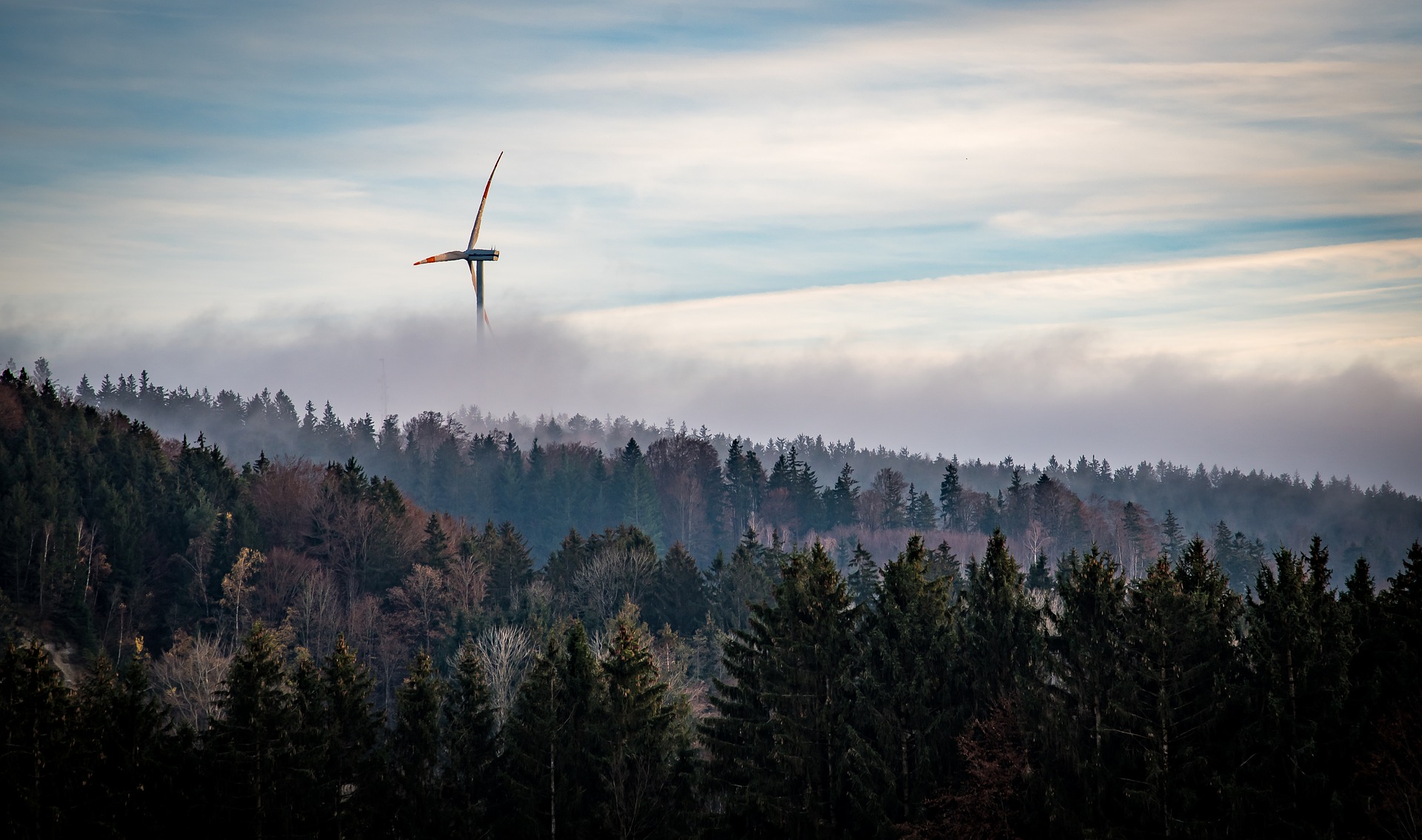 Windkraftausbau gefährdet Natur