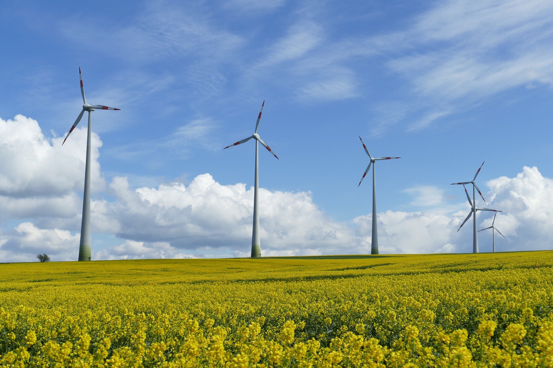 Stadtwerke dringen auf „massive Beschleunigung“ beim Windkraft-Ausbau