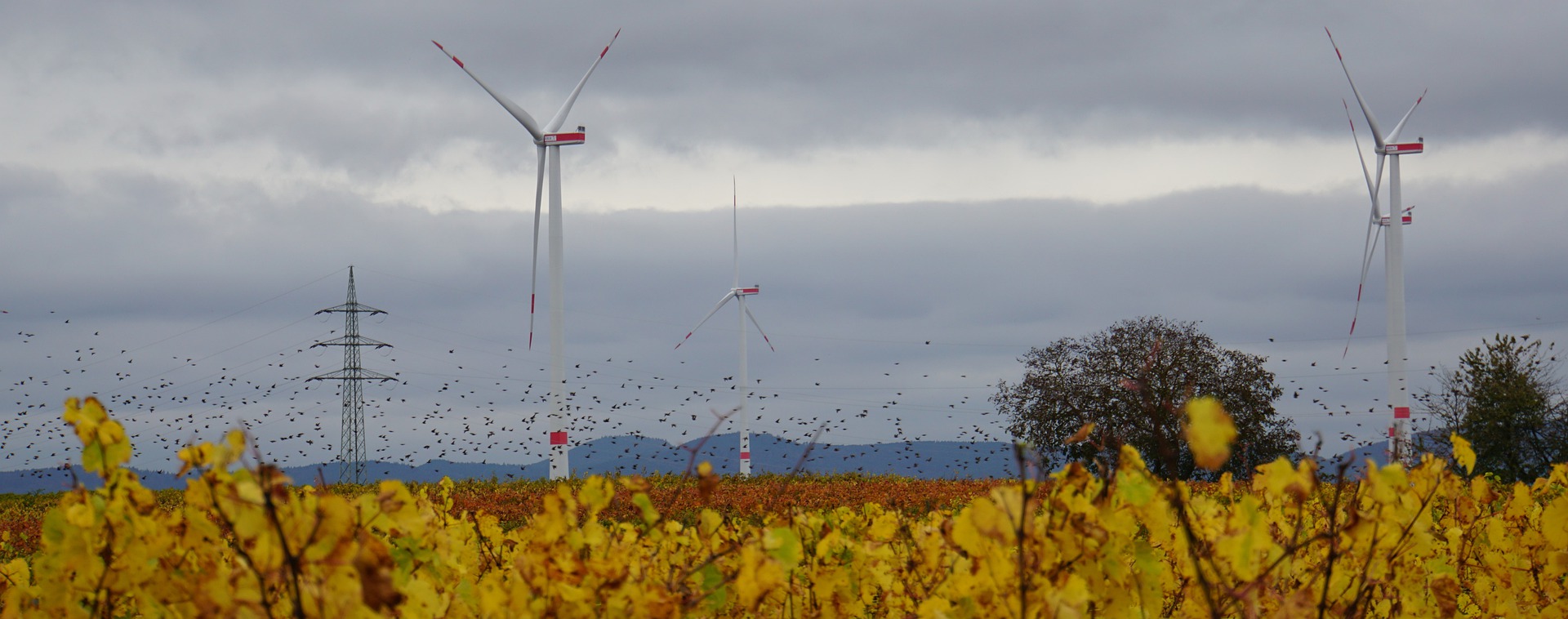 Hundertprozentige Versorgung aus erneuerbaren Energien nicht möglich