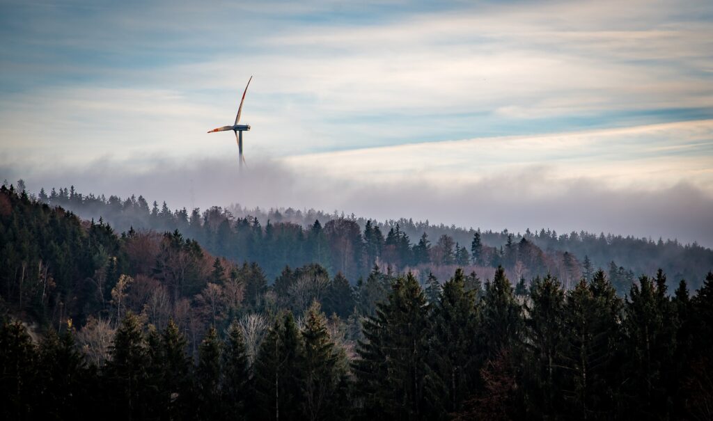 Naturschutzbund will keine Windkraftanlagen im Wald. Wald dient als CO₂-Speicher für den Klimaschutz und ist kein Gewerbegebiet.