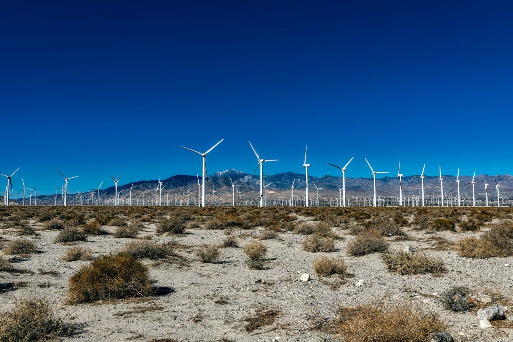 USA - immer mehr Wind- und Solarparks abgelehnt.  Erneuerbare Energien kollidieren mit Tier- und Landschaftsschutz