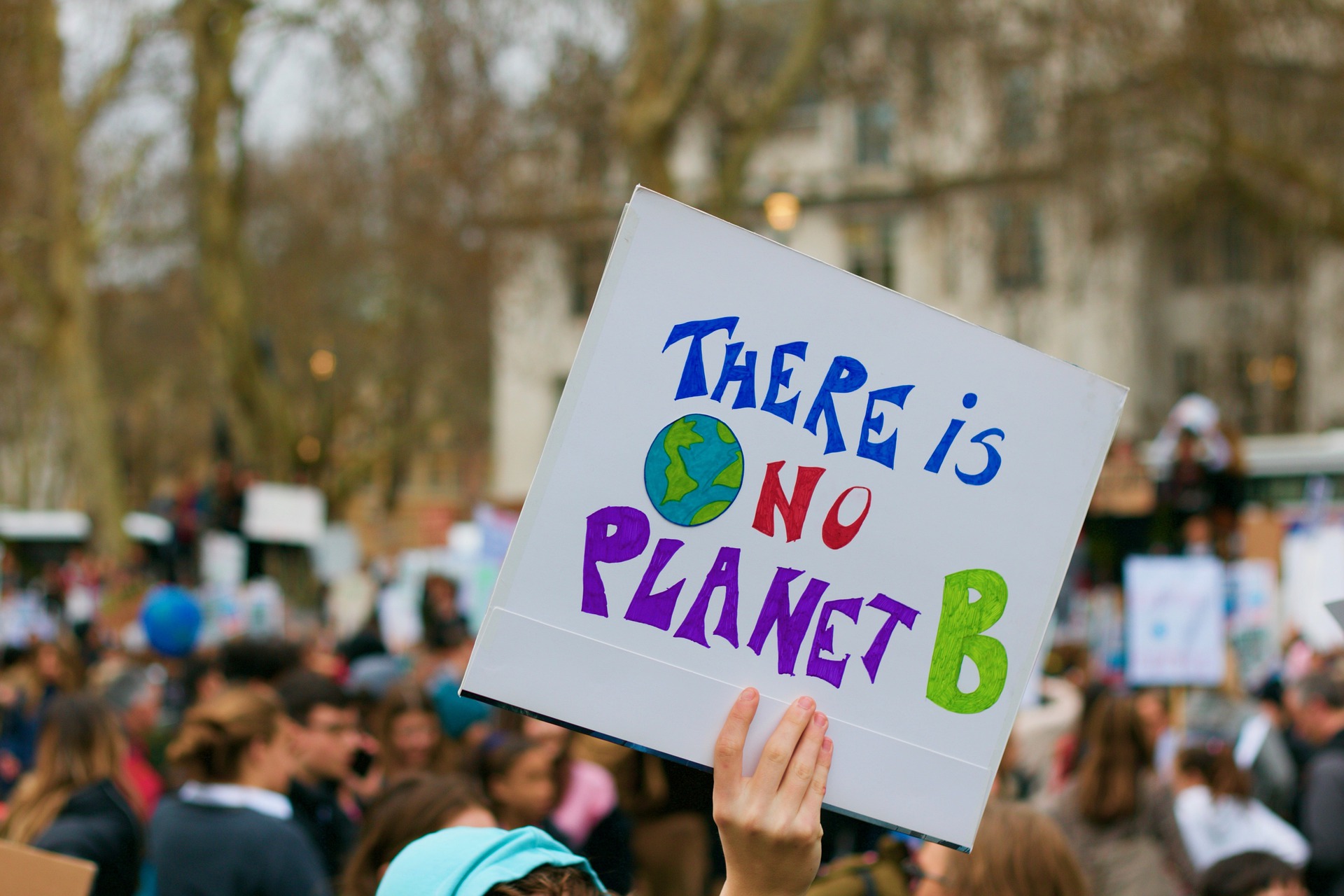 EU-Taxonomie: Umweltschützer wollen klagen