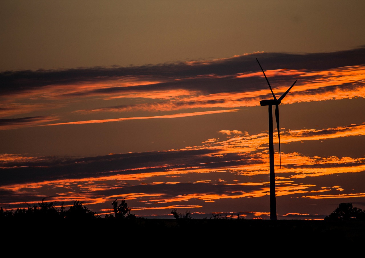 Windkraftanlage muss wegen Fledermaus stillstehen