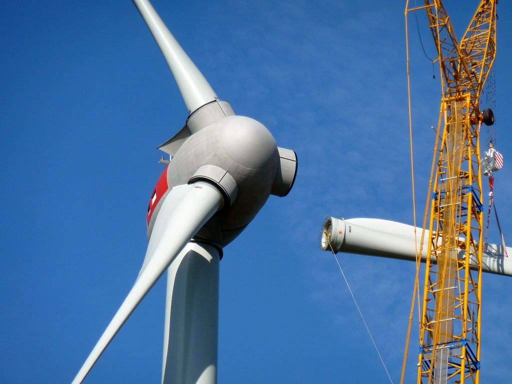 Balsaholz: Die dunkle Seite der Windenergie-Industrie