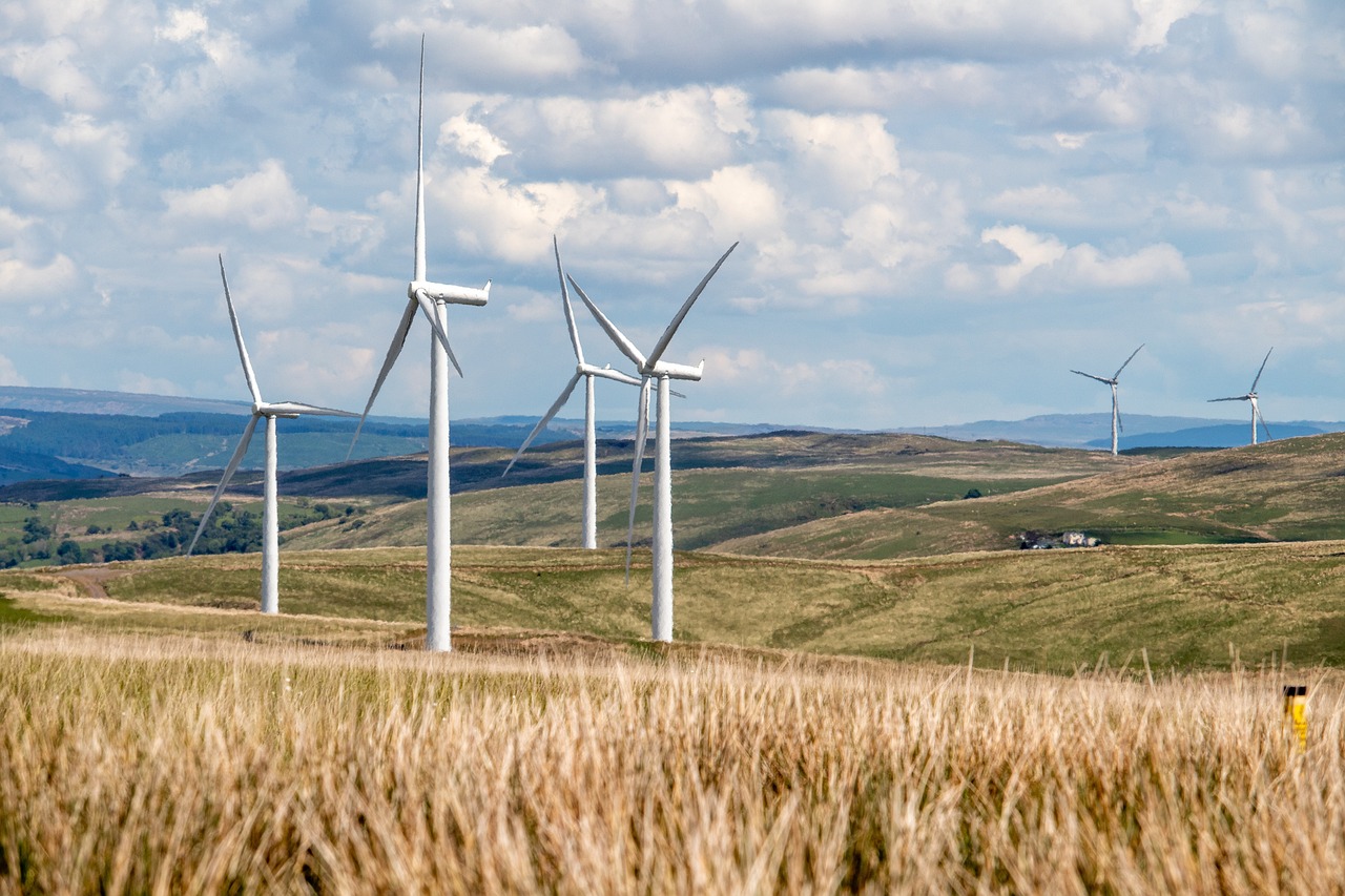 Enercon-Chef warnt:  Habecks Ziele beim Ausbau der Windkraft unerreichbar