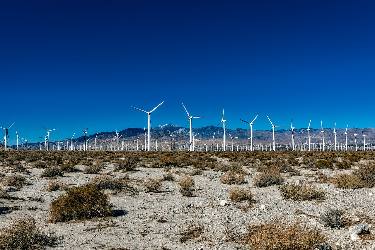 Windkraftbranche in den USA aufgrund reduzierter Steuererleichterungen vor dem Bankrott