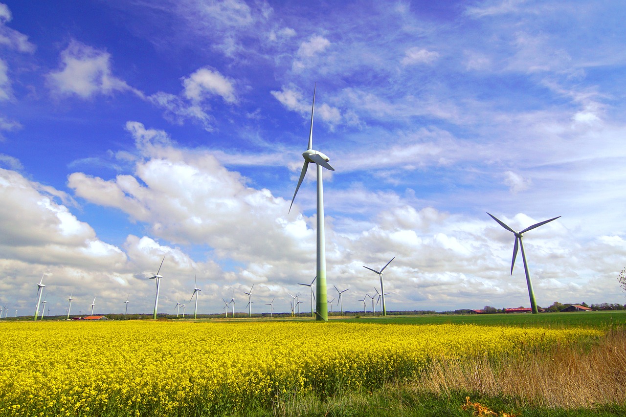 Rückschlag für die Energiewende: Windkraft-Ausbau in Deutschland stockt
