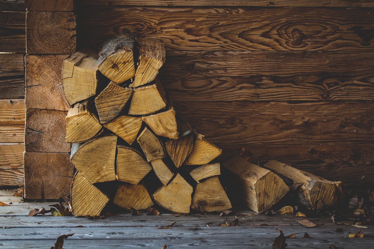 Umweltverbände warnen vor Zulassung neuer Holzheizungen