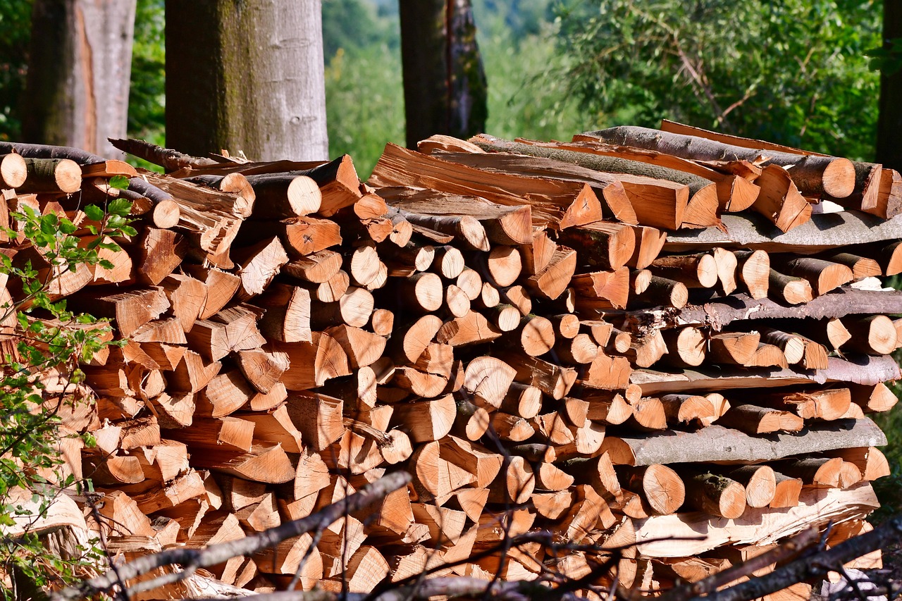 Holzheizungen im Heizungsgesetz: Umweltamt warnt vor steigender Feinstaubbelastung