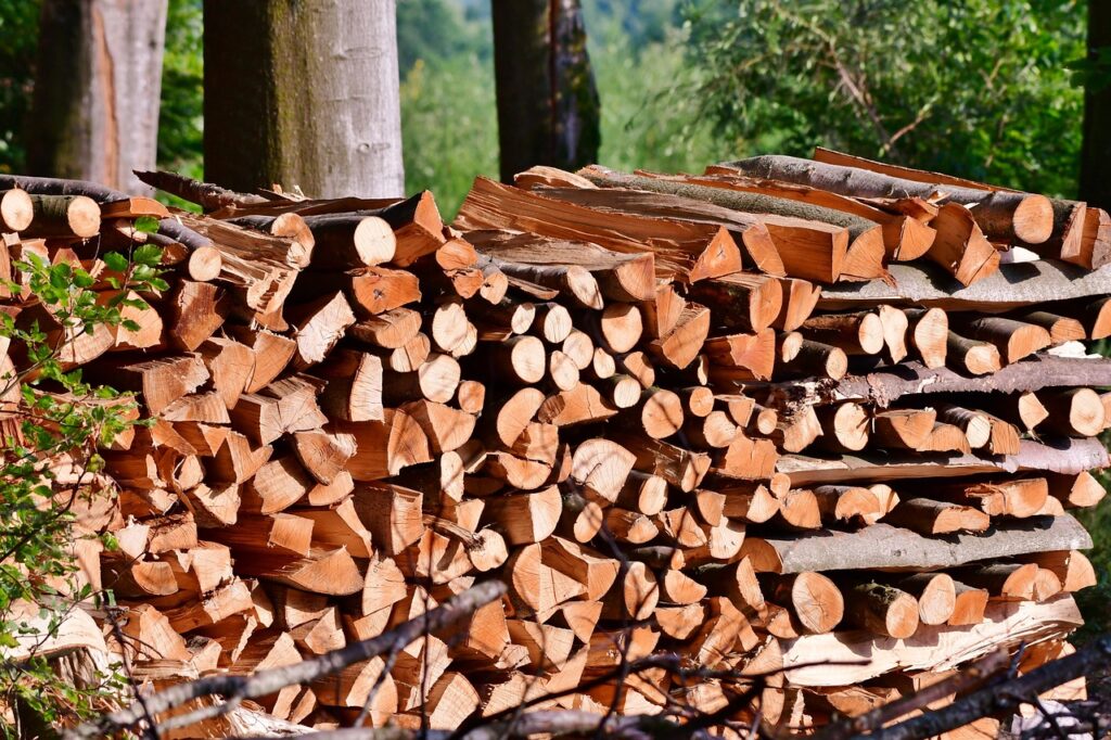 Kontroverse um Holzheizungen im Heizungsgesetz: UBA skeptisch und fordert Einschränkungen. Warnung vor zu viel Feinstaub