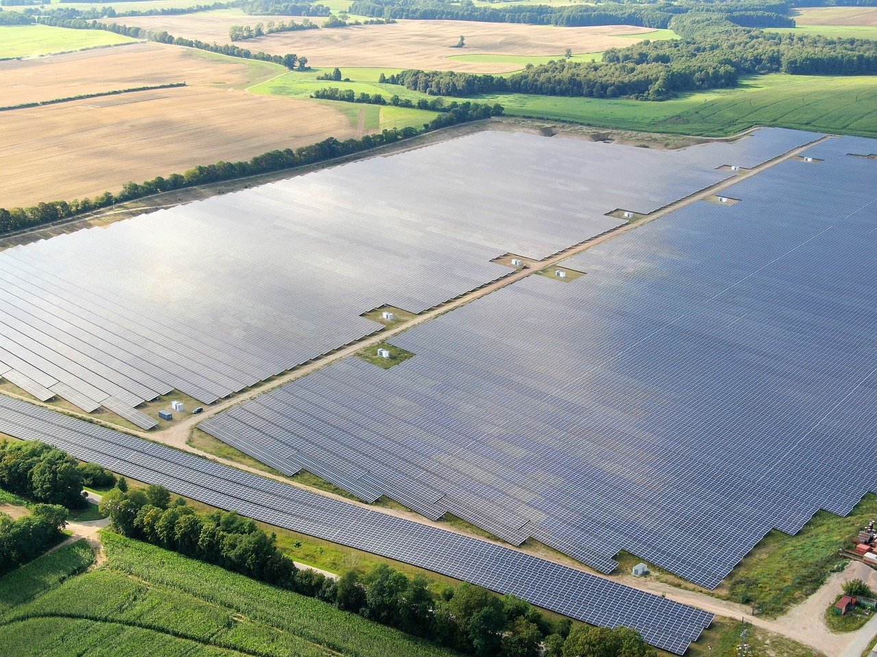 Kritische Zählung: Solarparks auf Freiflächen vertreiben Vögel – Naturschützer schlagen Alarm