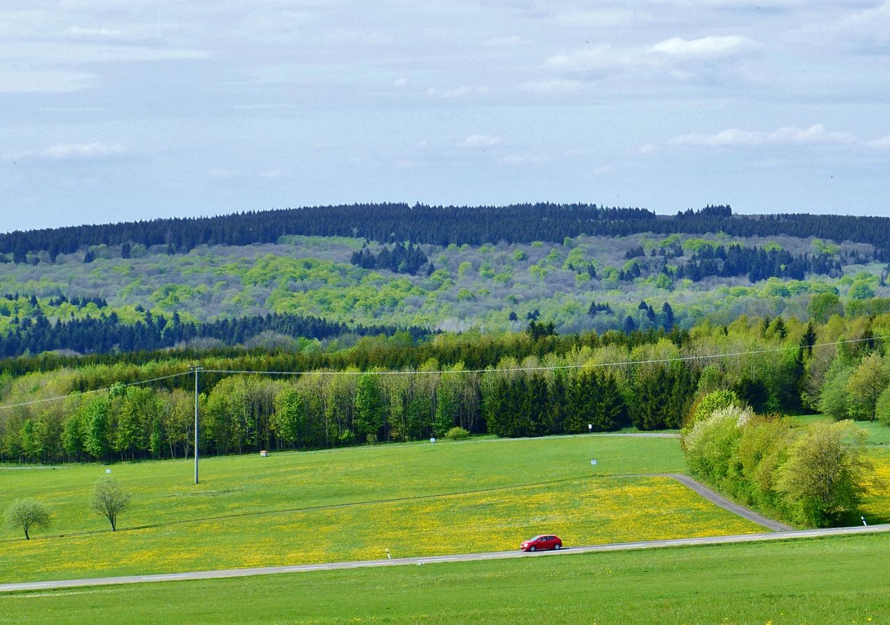 Sieg für den Naturschutz: Keine Windindustrie am Stegskopf