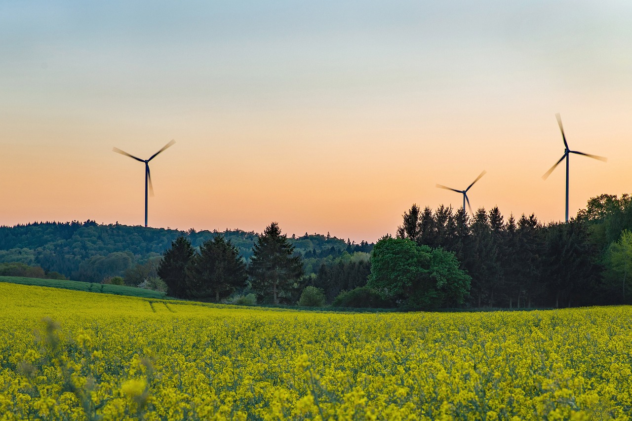 Windräder im Thüringer Wald: CDU, FDP und AfD behindern den Bau