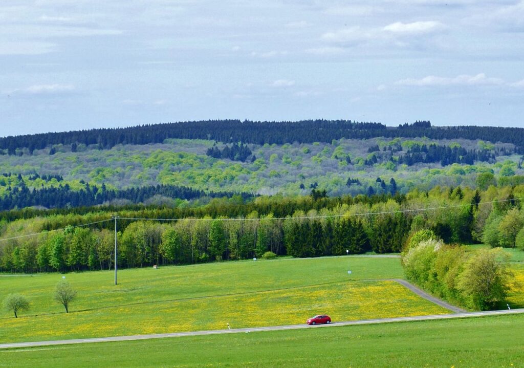 Stegskopf nun im Besitz der DBU Naturerbe GmbH - Schutz vor Windindustrie und Erhalt der Biodiversität am ehemaligen Truppenübungsgelände