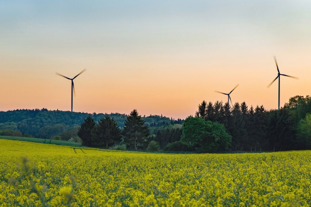 CDU, FDP und AfD kämpft gegen Windräder im Thüringer Wald. Gesetz gegen den Plan der Rot-Rot-Grünen Koalition geplant