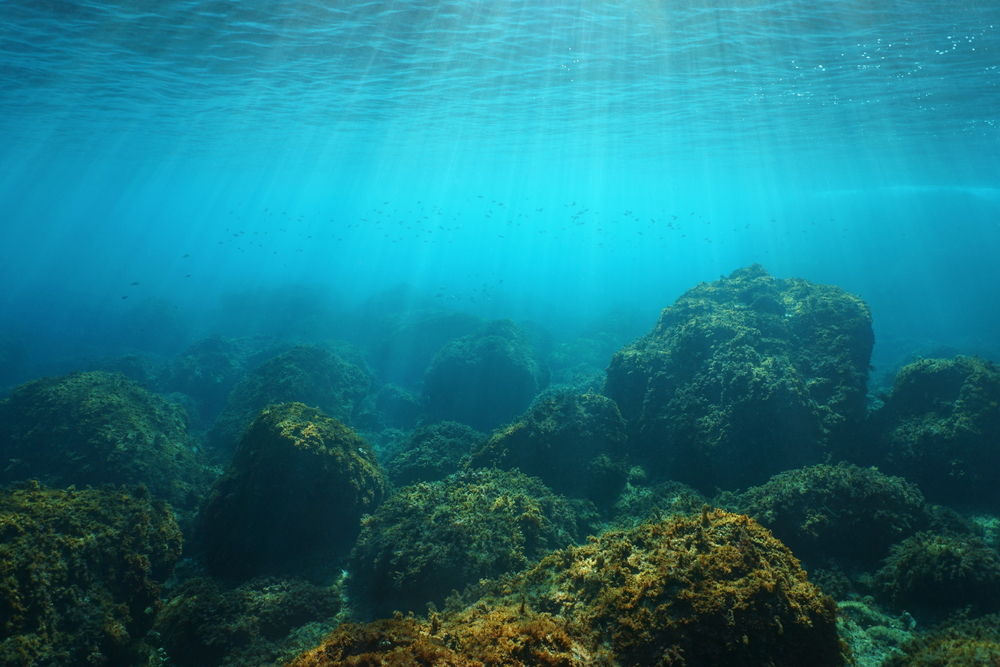 Kampf um den Meeresboden: Das Hochrisiko-Rennen um Tiefsee-Mineralien eskaliert. Erneuerbaren Energien beschleunigenden den Tiefseebergbau 