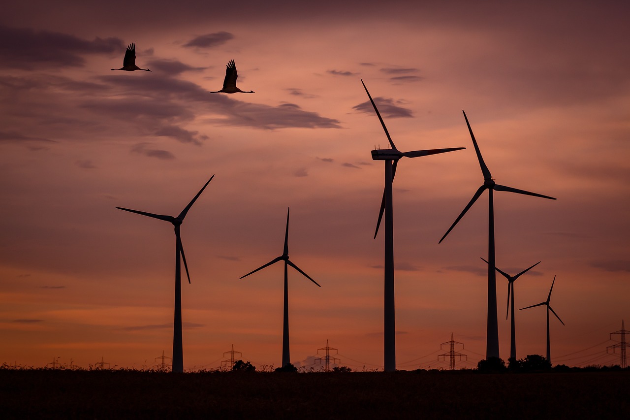 160.000 Euro Verlust: Kupferdiebstähle erschüttern Windparks in Sachsen-Anhalt