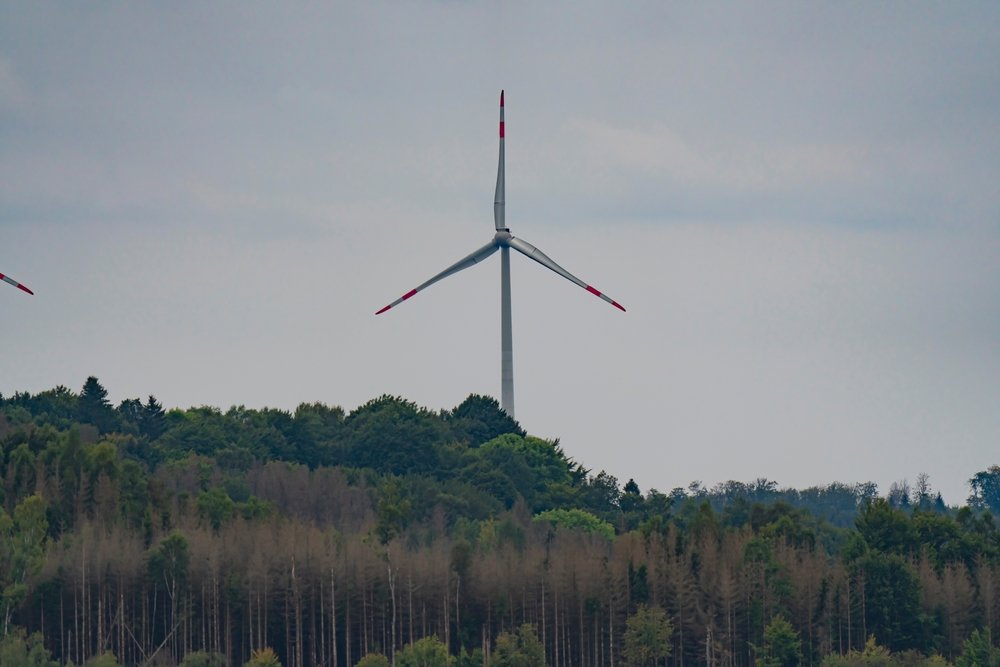Windkraftanlage in Süddeutschland belastet Steuerzahler jährlich mit bis zu 600.000 Euro
