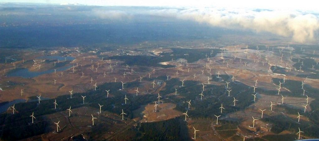 Schottische RegierungsbehÃÂ¶rde bestÃÂ¤tigt -17 Millionen BÃÂ¤ume fÃÂ¼r Windparks gefÃÂ¤llt