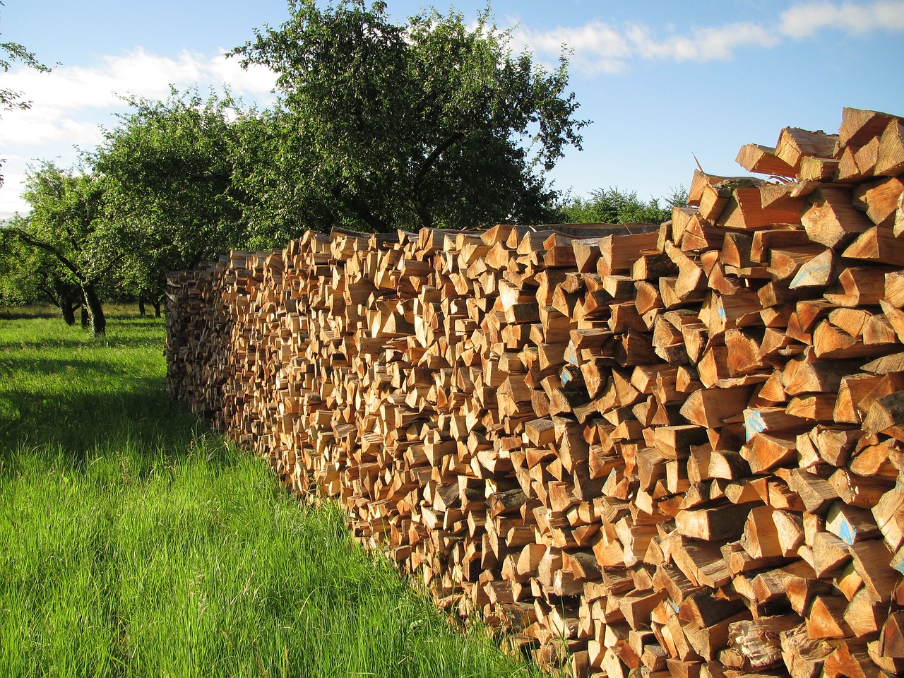 Ampel plant CO2-Abgabe auf Holz als Brennstoff