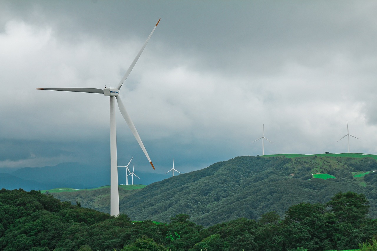 Langzeitstudie belegt: Windkraftanlagen verursachen erhebliche Schäden an Wäldern