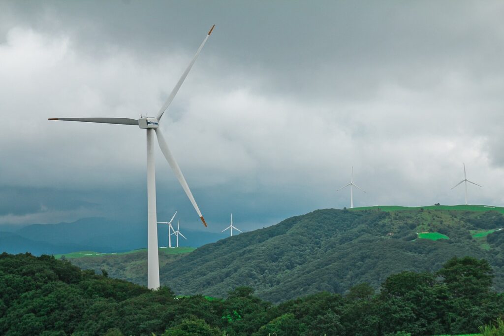 Windenergie und ihre Auswirkungen
                                auf die Wlder: Langzeitstudie enthllt
                                dramatische Schden durch Windparks