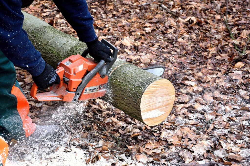 Die Abholzung einer Waldfläche in Hamm führt zu Debatten über die Balance zwischen Energiewende und Naturerhalt