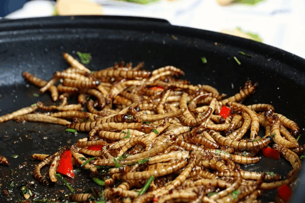 Dänemarks größte Insektenfabrik steckt in der Krise: Kein Absatz, Anwohnerproteste und drohender Produktionsstopp gefährden das Projekt