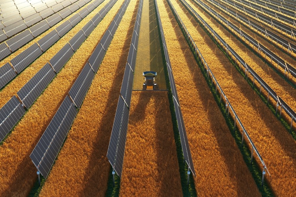 US-Regierung stoppt Förderung von Solar- und Windprojekten auf Ackerflächen - Rollins und Trump kritisieren Abhängigkeit von China