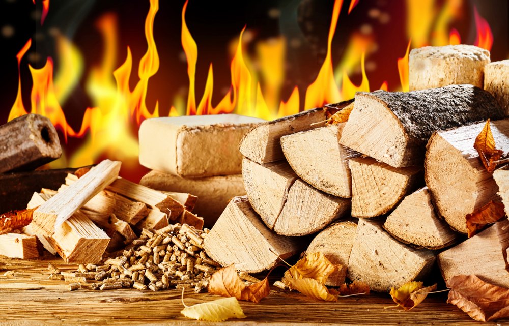 Regierung streicht Biomasse als erneuerbare Energie aus Energie- und Stromsteuergesetz. Biogas- und Holzheizkraftwerke drohen Nachteile