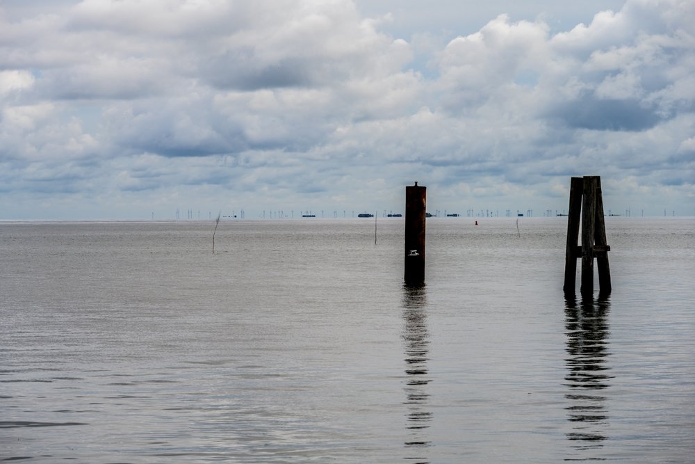 Offshore-Windkraft bedroht das Wattenmeer: Nordsee Windparks verändern Strömungen, Artenvielfalt und das Ökosystem Wattenmeer