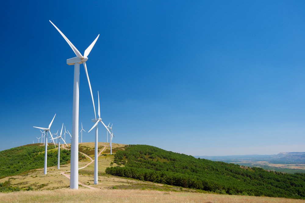 Windkraftanlagen bedrohen Artenvielfalt - Bodenerosion von Muttererde und Insektensterben belegen massive Folgen für Natur und Ökosysteme