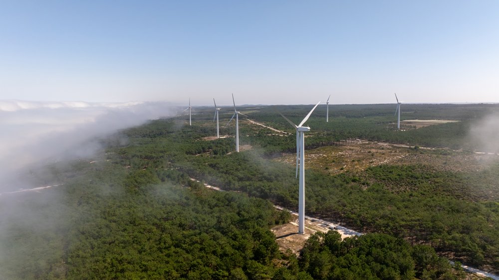Widerstand gegen Windkraft im Harz wächst. Bürger fordern Mitsprache, kritisieren Naturverlust und kämpfen für Heimatbewahrung