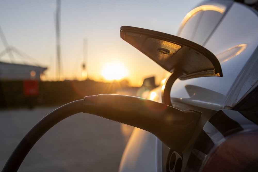 The market for electric cars in the USA has collapsed massively after the elimination of government subsidies