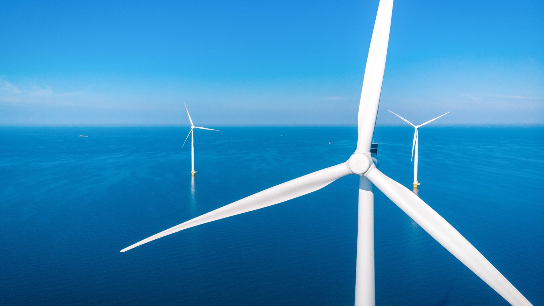 Investoren zögern beim Offshore-Windkraft-Ausbau - Ausschreibungsverfahren ohne Einspeisevergütung gefährdet die Renditen