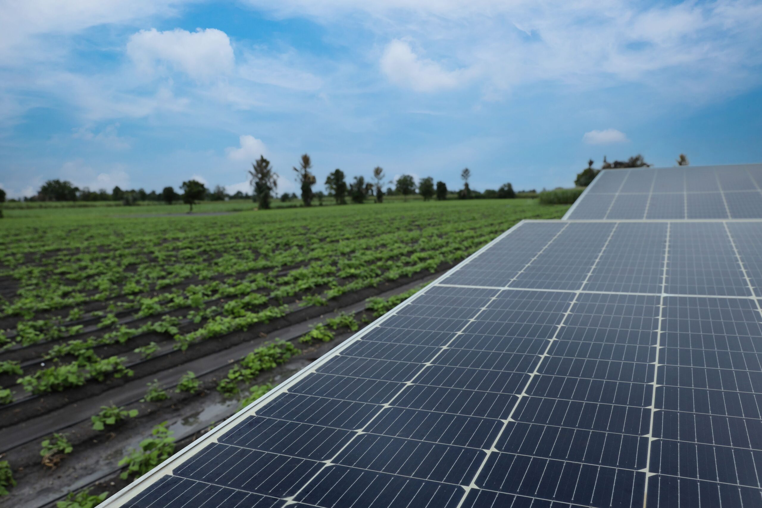 Solar parks are displacing farmers – leased land is disappearing and threatening livelihoods