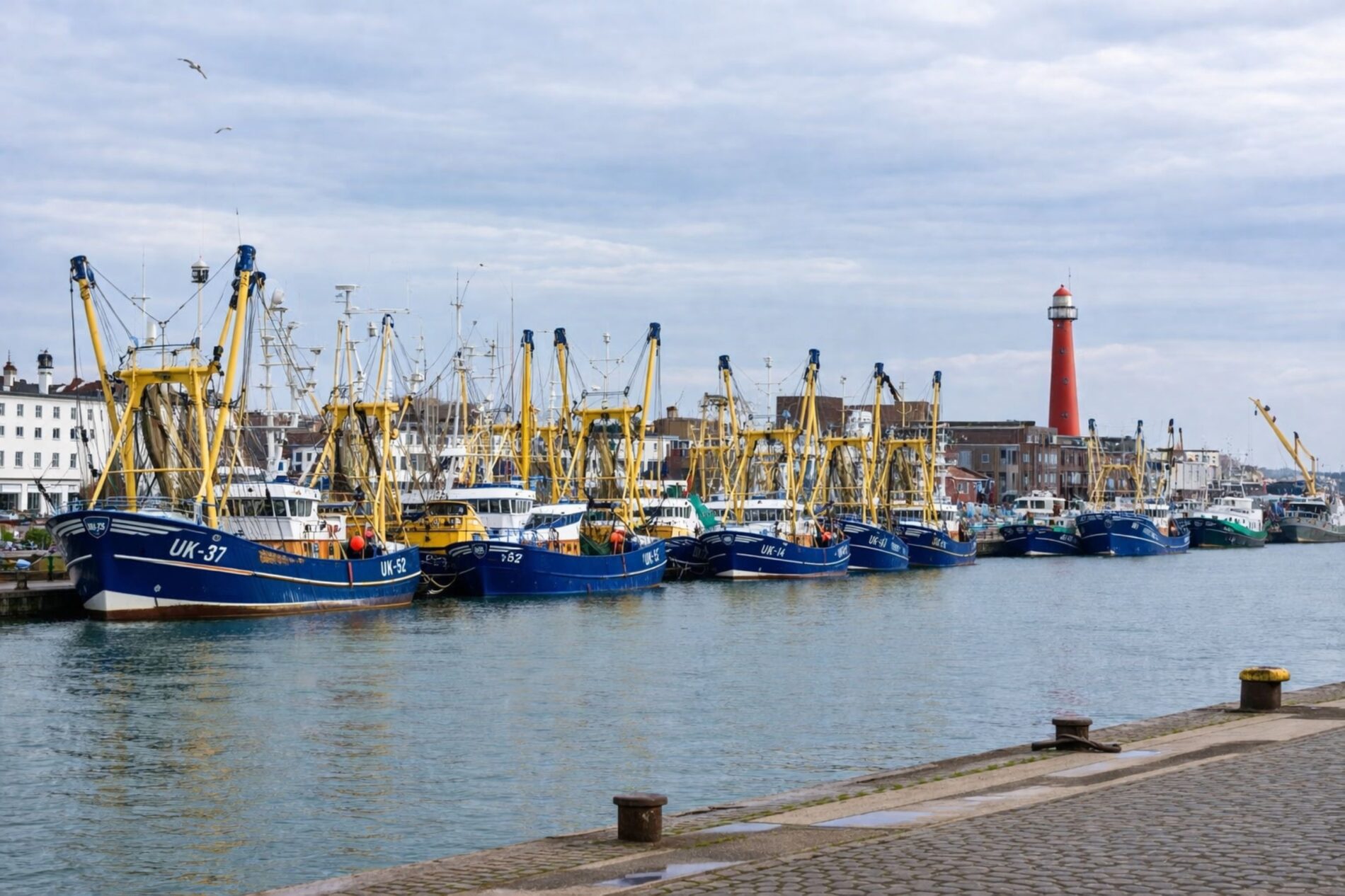 Hohe Dieselpreise lähmen die Fischerei in den Niederlanden. Immer mehr Schiffe bleiben im Hafen, während Fisch in Europa knapper wird