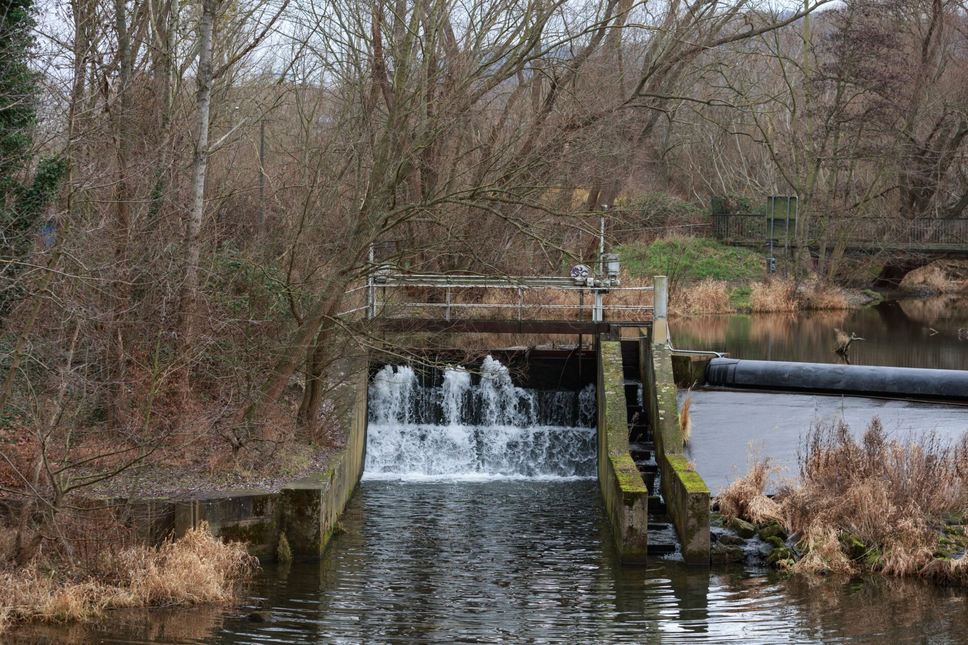 EEG-Reform bedroht kleine Wasserkraftwerke - Betreiber warnen bei Streichung der Einspeisevergütung vor Stilllegungen 