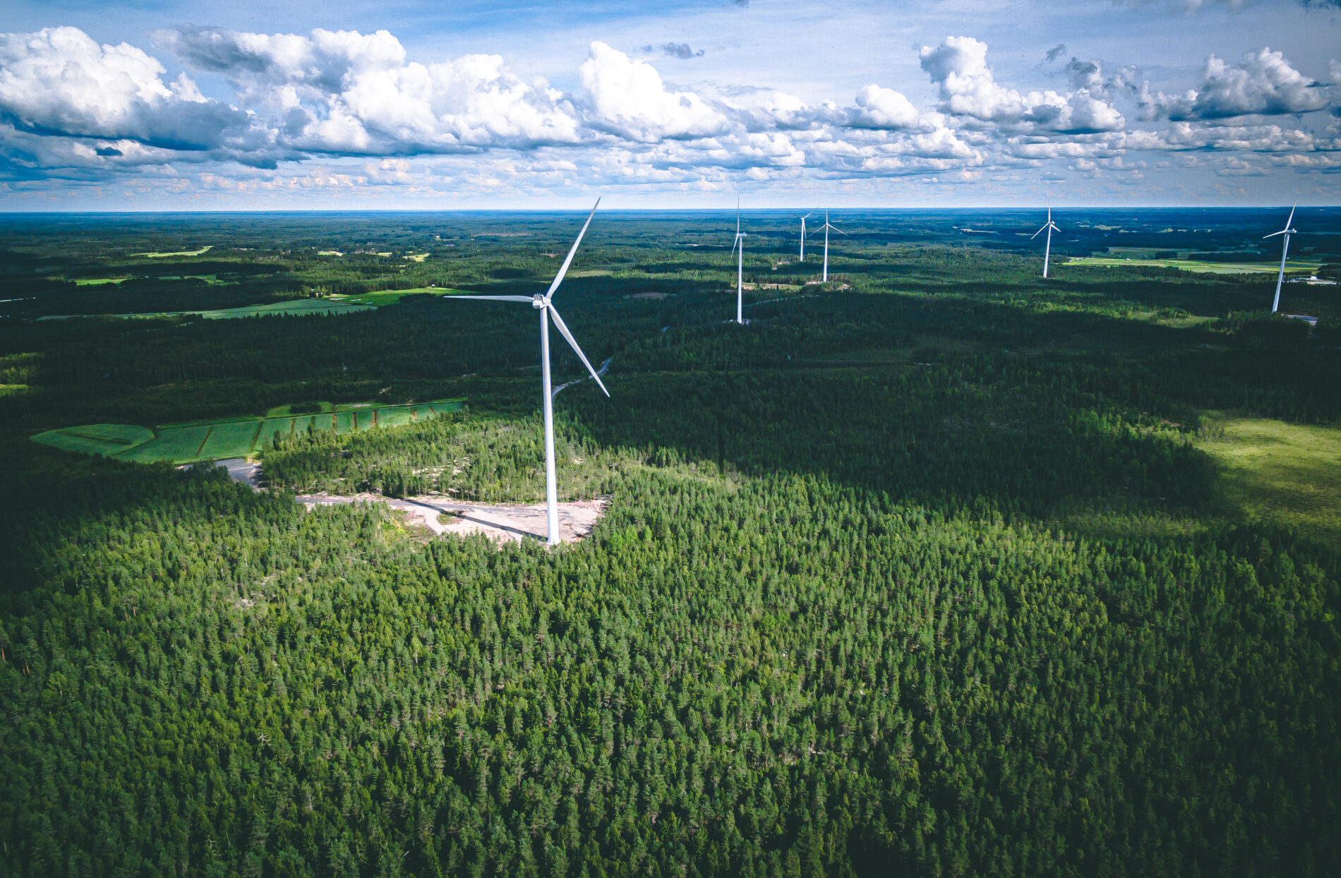 Stadtrat in Friedrichroda lehnt Windräder im Wald ab. Die Stadt prüft rechtliche Schritte und den Schutz als Erholungswald