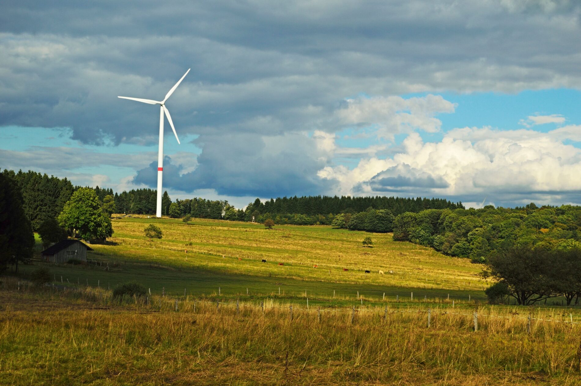 Gemeinderat fragt Bürger zum Windpark ab und folgt dem Nein der Mehrheit nicht. Der Konflikt im Westerwaldkreis verschärft sich