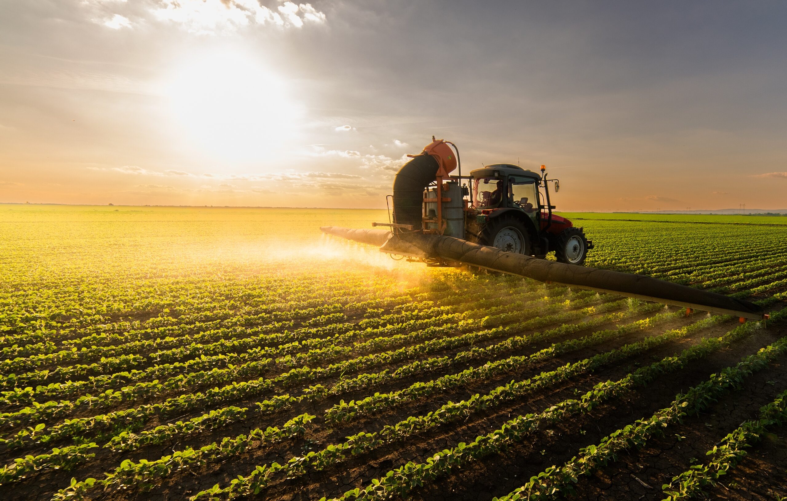 EU-Agrargelder: Debatte um Obergrenze pro Landwirt