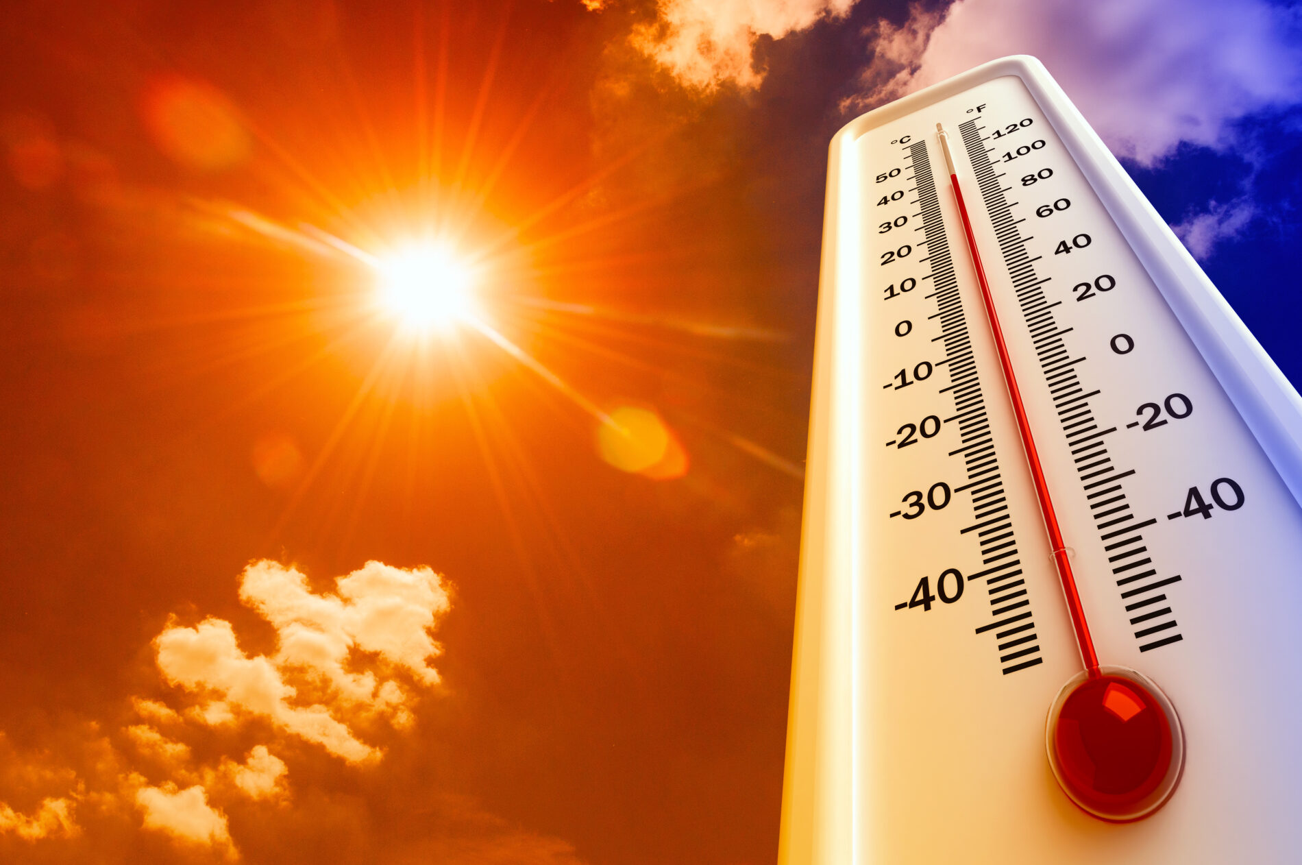Über 40 Grad treffen Europa - Brände, Bahnausfälle, Kühlprobleme und Todesfälle sind die Folgen der Rekordhitze