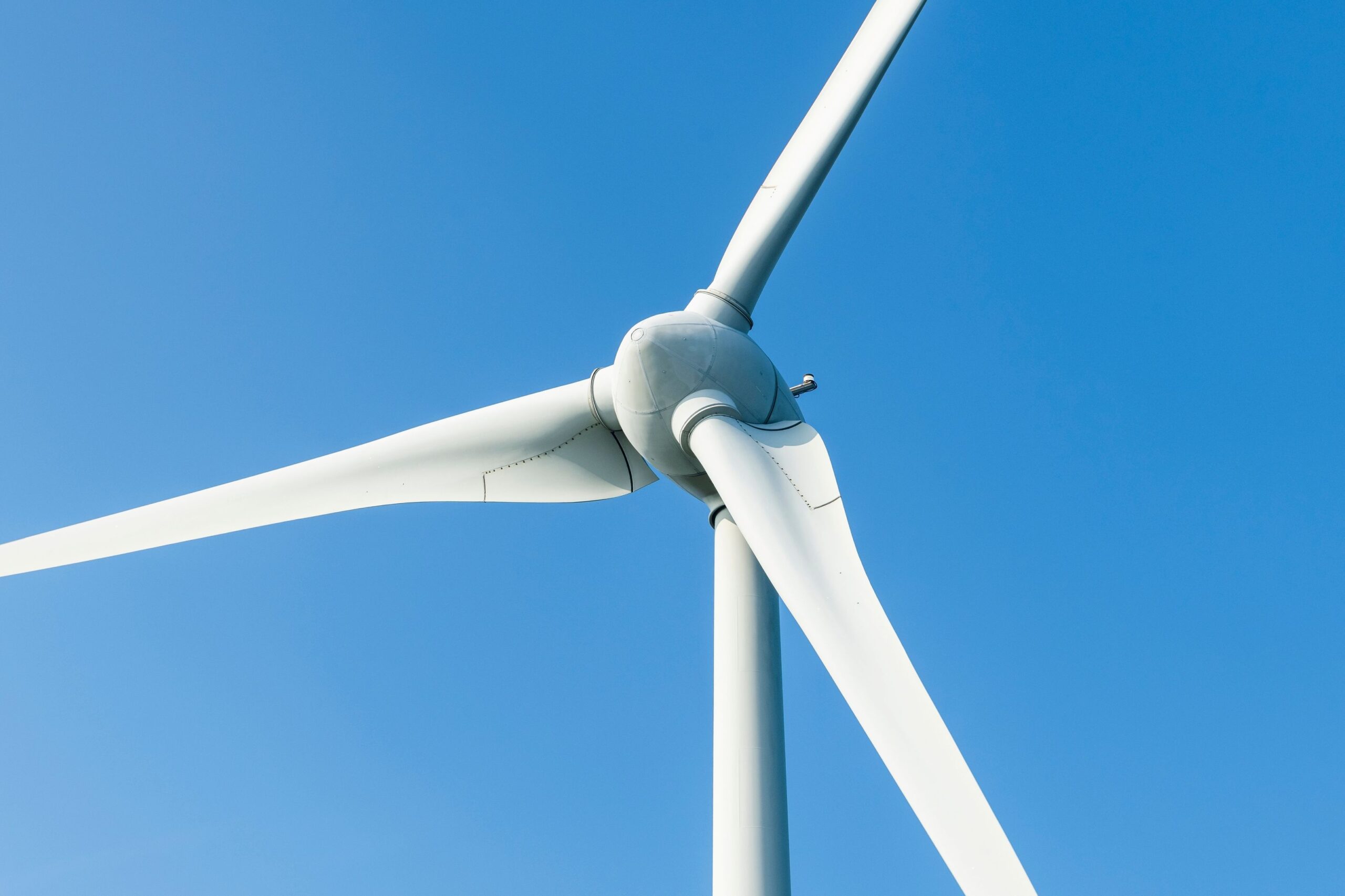 Windpark Dirmstein: OVG weist Eilantrag von Gegnern ab