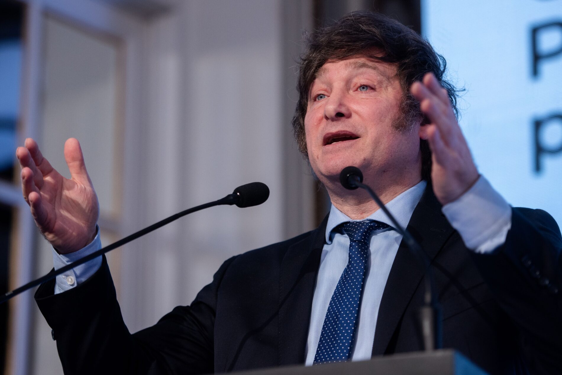 Meitner Energy plant in Argentinien einen privat finanzierten Atomreaktor vom Typ  ACR-300 mit 300 Megawatt Leistung zu bauen