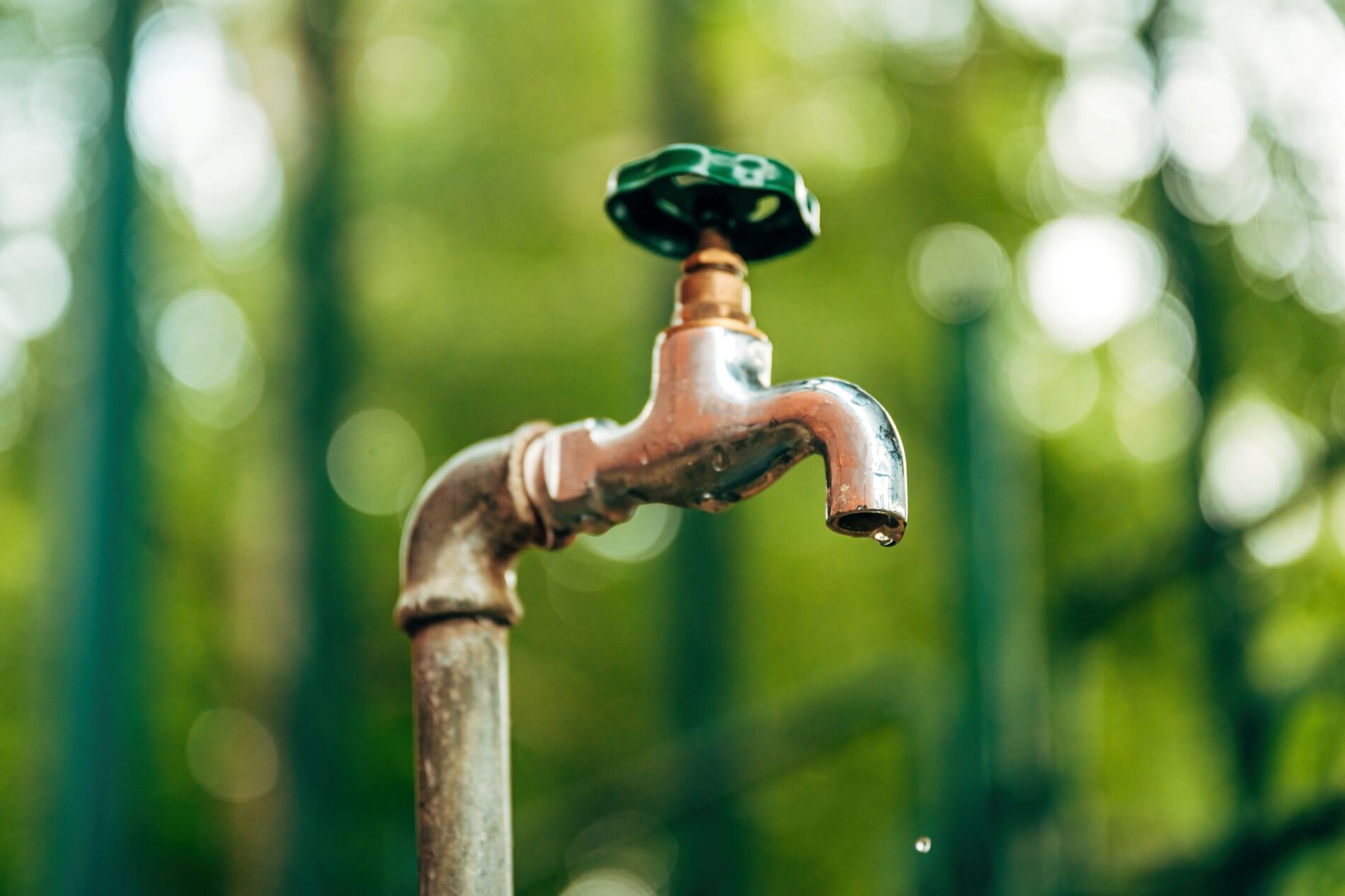 Since July, Bavaria has been levying a "water cent" on groundwater. Citizens usually pay indirectly, while numerous exemptions limit the impact