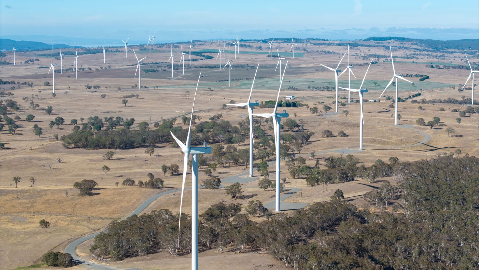 Eine viertägige Windflaute leert Batterien, aktiviert Gasstrom und treibt Südaustraliens Börsenpreis auf 20.300 Dollar je Megawattstunde