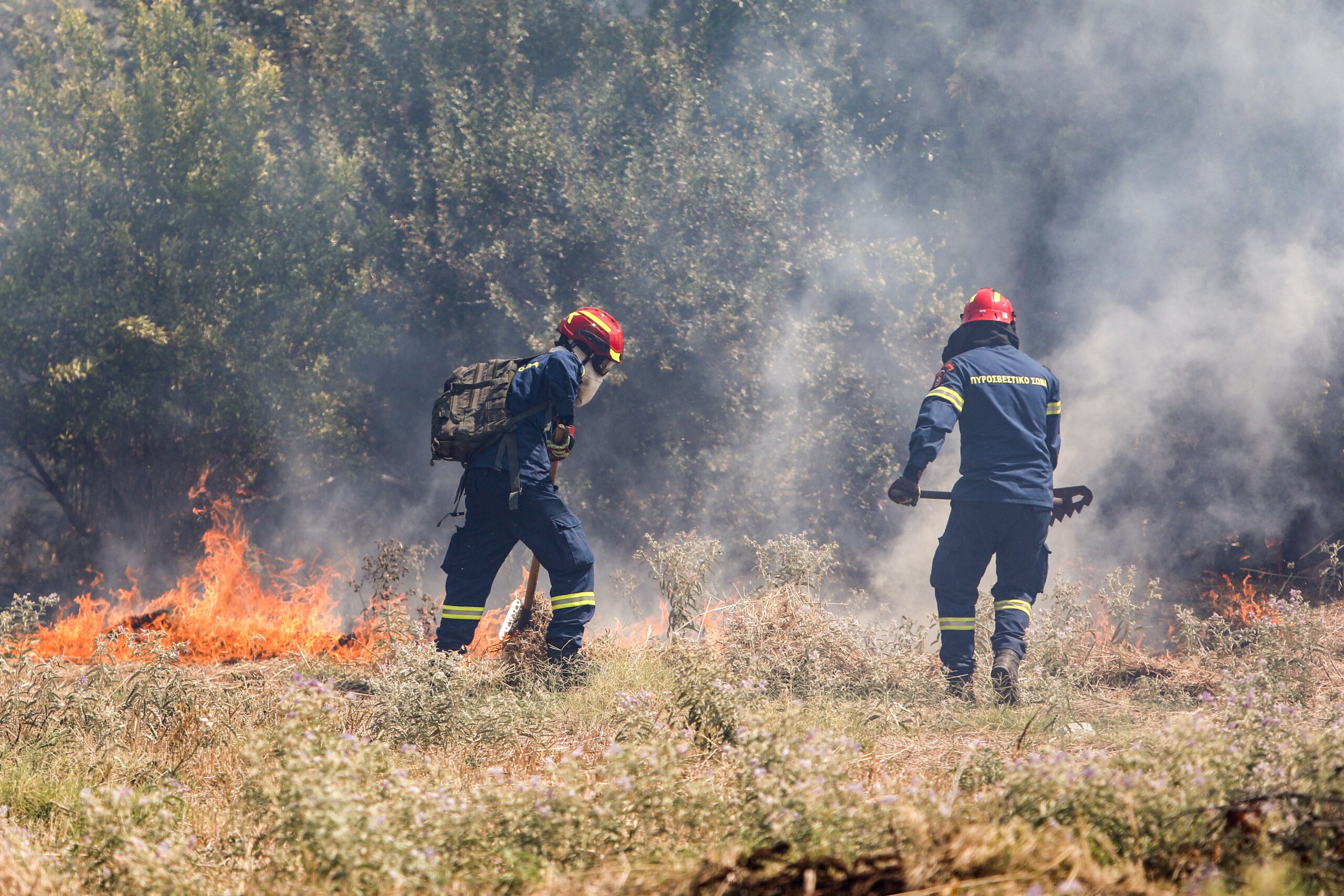 Waldbrand in Griechenland: Windpark-Leitung soll Großfeuer ausgelöst haben